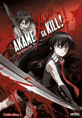 โปสเตอร์ Akame ga Kill อาคาเมะ สวยสังหาร ตอนที่ 1-24 ซับไทย ดูอนิเมะออนไลน์