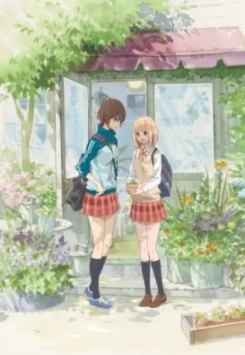 โปสเตอร์ Asagao to Kase-san OVA  ดูอนิเมะออนไลน์