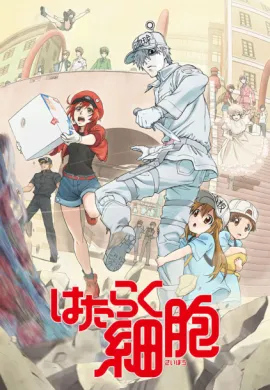 โปสเตอร์ Hataraku Saibou (Cells at Work!) Season 1 เซลล์ขยัน พันธุ์เดือด ซีซั่น 1 ตอนที่ 1-13 พากย์ไทย ดูอนิเมะออนไลน์