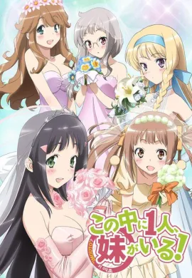 โปสเตอร์ Kono Naka ni Hitori Imouto ga Iru เธอนะหรือคือน้องสาวผม ตอนที่ 1-13 ซับไทย ดูอนิเมะออนไลน์