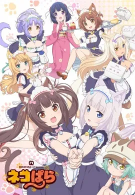 โปสเตอร์ Nekopara ยัยเหมียววุ่ยวาย ตอนที่ 1-12 ซับไทย ดูอนิเมะออนไลน์